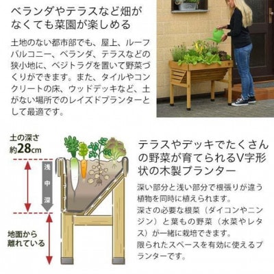 ホームベジトラグ ウォールハガー コンパクト ナチュラル　57932700