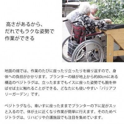 ホームベジトラグ ウォールハガー S グレイウォッシュ 　57927300