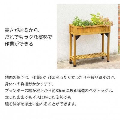 レイズドベッド ハーブプランター スリム ナチュラル　57939600