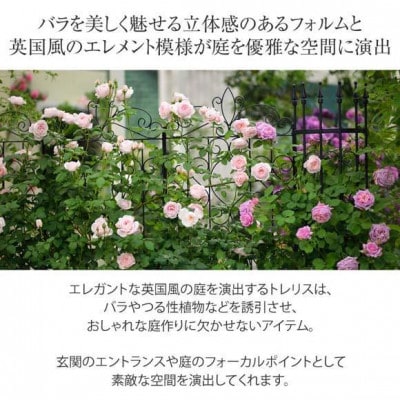 デザイントレリス スリム 1800 4枚組　32450700