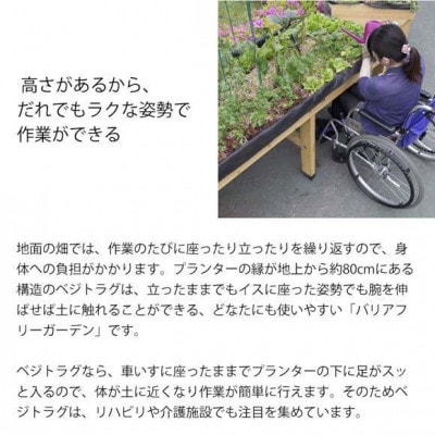 ホームベジトラグ ウォールハガー L ナチュラル　57930300