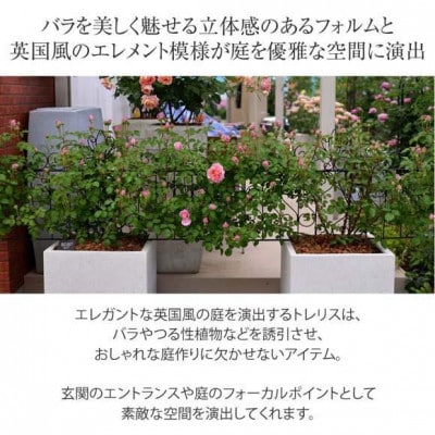 デザイントレリス 885 4枚組　36442800