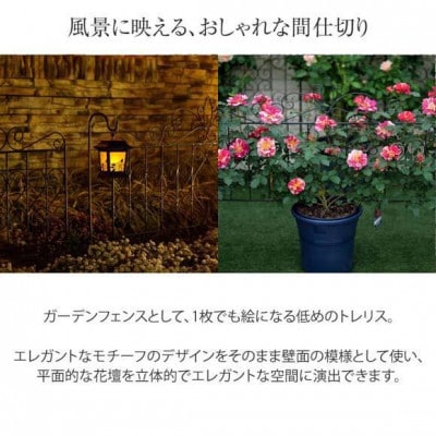 デザイントレリス 885 4枚組　36442800