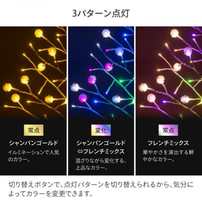 彩プレミアム TOKKAツリー L　79915200