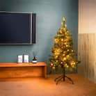 彩プレミアム ストリングスライト 100球　79905300