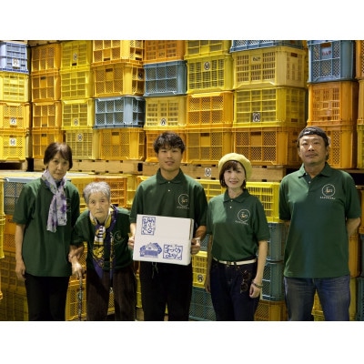 中生みかん  5kg 家庭用・サイズ混合(S・M・L・LL)