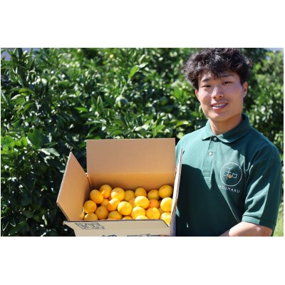 蔵出しみかん  約5kg 家庭用・サイズ混合(S・M・L・LL)