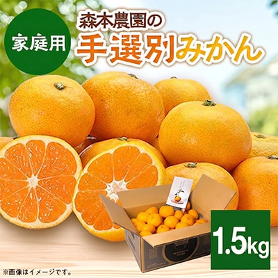 【2026年11月より順次発送】森本農園の手選別みかん　家庭用　1.5kg