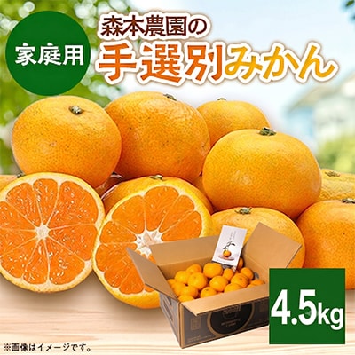 【2026年11月より順次発送】森本農園の手選別みかん　家庭用　4.5kg