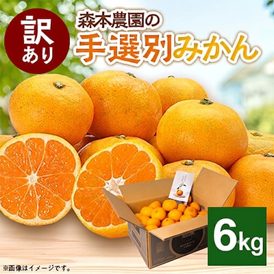 【2026年11月より順次発送】森本農園の手選別みかん　訳あり　6kg