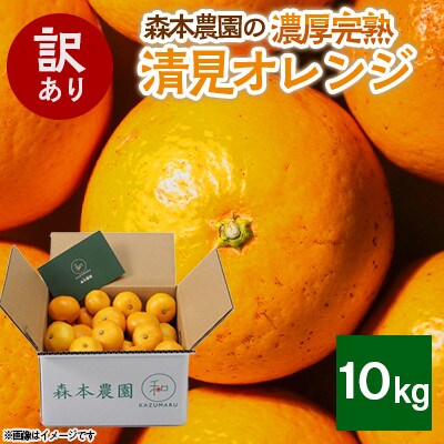 【2025年2月より順次発送】森本農園の完熟濃厚清見オレンジ　訳あり　10kg