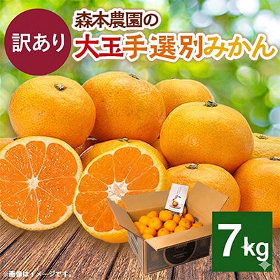 【2026年11月より順次発送】森本農園の大玉手選別みかん　訳あり　7kg