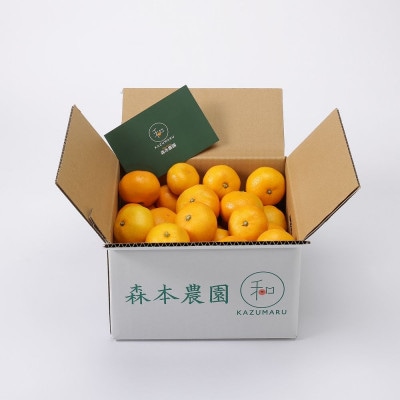 【2025年1月より順次発送】森本農園の小粒ネーブルオレンジ　家庭用　10kg