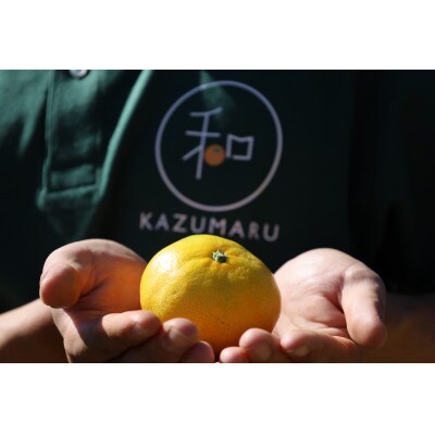 【2025年1月より順次発送】森本農園の小粒ネーブルオレンジ　家庭用　10kg