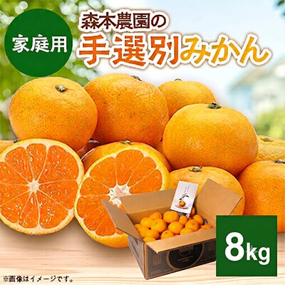 【2026年11月より順次発送】森本農園の手選別みかん　家庭用　8kg