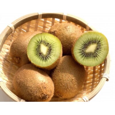 【2026年2月より順次発送】森本農園のキウイフルーツ　2kg