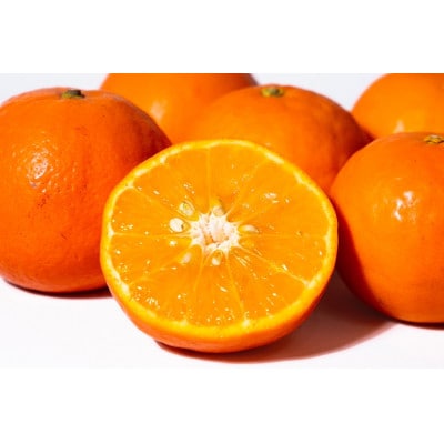 【2026年4月中旬より順次発送】森本農園の高級セミノールオレンジ　訳あり　10kg