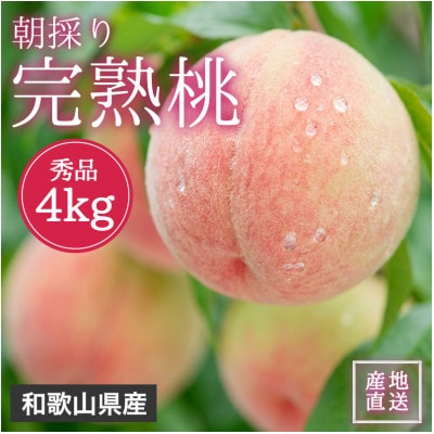 【2026年7月より順次発送】森本農園の桃　贈答用　4kg