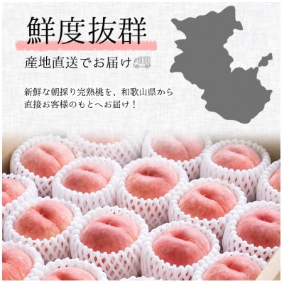 【2026年7月より順次発送】森本農園の桃　贈答用　4kg