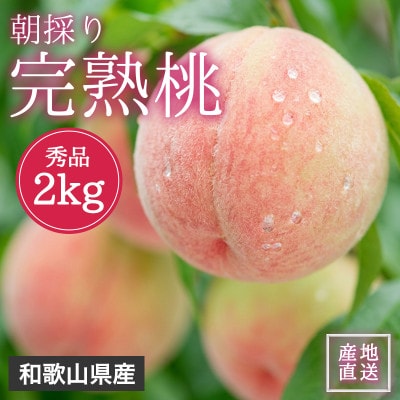 【2026年7月より順次発送】森本農園の桃　贈答用　2kg