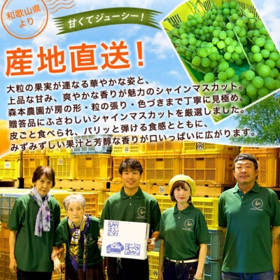 【2027年9月より順次発送】森本農園のシャインマスカット　贈答用　1房　400～500g