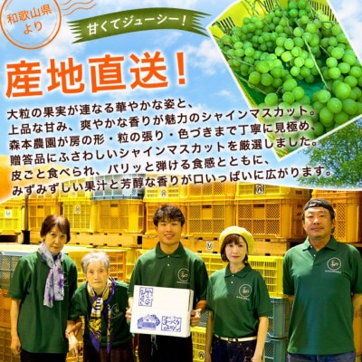 【2027年9月より順次発送】森本農園のシャインマスカット　贈答用　2房　800g～1kg
