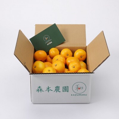 【発送月固定定期便】家庭用柑橘定期便　4.5kg　10月～5月まで期間限定全8回