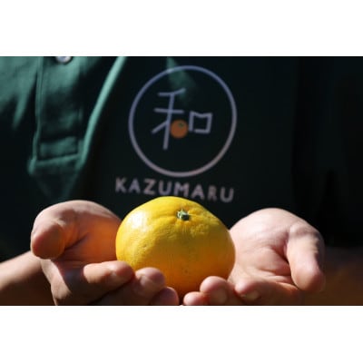 【発送月固定定期便】家庭用柑橘定期便　4.5kg　10月～5月まで期間限定全8回