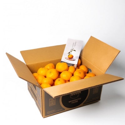 【発送月固定定期便】家庭用みかん定期便　1.5kg　10月～1月まで期間限定全4回