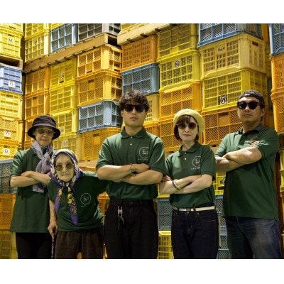 【発送月固定定期便】家庭用みかん定期便　1.5kg　10月～1月まで期間限定全4回