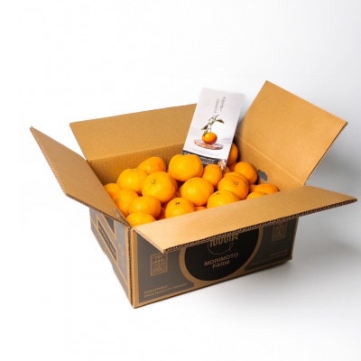 【発送月固定定期便】森本農園の手選別みかん　家庭用　4.5kg全4回