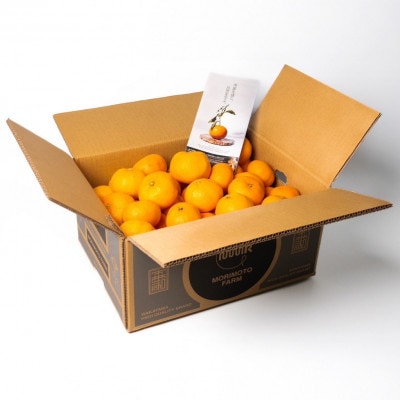 【発送月固定定期便】訳ありみかん定期便　2kg　10月～1月まで期間限定全4回