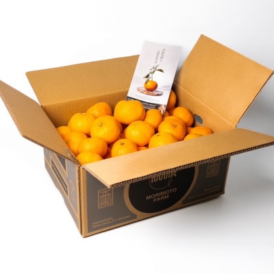 【発送月固定定期便】訳ありみかん定期便　10kg　10月～1月まで期間限定全4回