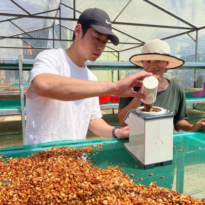 日方珈琲焙煎所　ベトナムロブスタ　コーヒー豆　自家焙煎　 100g