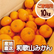 【訳あり】和歌山みかん 10kg　サイズ混合 11月より順次発送 | ふるさと納税のお礼品
