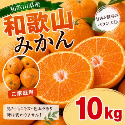 【訳あり】和歌山みかん 9.5kg+補償分500g　サイズ混合 11月より順次発送　訳ありみかん