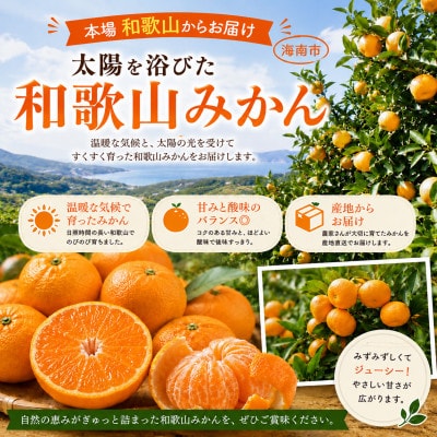 【訳あり】和歌山みかん 9.5kg+補償分500g　サイズ混合 11月より順次発送　訳ありみかん