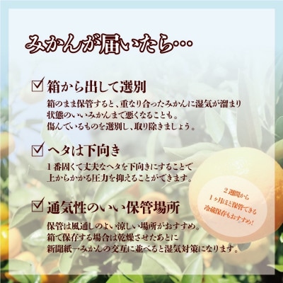 【訳あり】和歌山みかん 9.5kg+補償分500g　サイズ混合 11月より順次発送　訳ありみかん