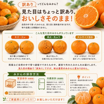 【訳あり】和歌山みかん 9.5kg+補償分500g　サイズ混合 11月より順次発送　訳ありみかん