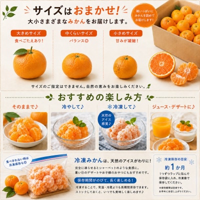 【訳あり】和歌山みかん 9.5kg+補償分500g　サイズ混合 11月より順次発送　訳ありみかん