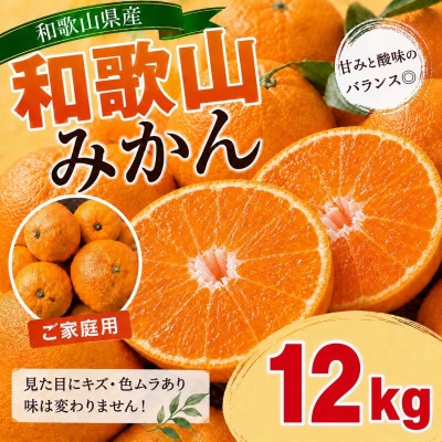 【訳あり】和歌山みかん 11kg+補償分1kg　サイズ混合 11月より順次発送　訳ありみかん