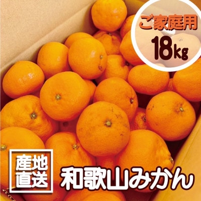 【訳あり】和歌山みかん 18kg　サイズ混合 11月より順次発送