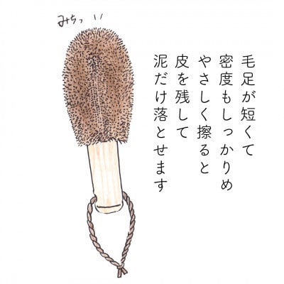 高田耕造商店　しゅろのやさしいたわし　野菜洗い用