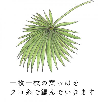高田耕造商店　紀州棕櫚のハエたたき