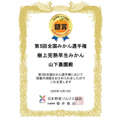 【さとふる限定】樹上完熟早生みかん 約10kg SS～Lいずれか 山下農園