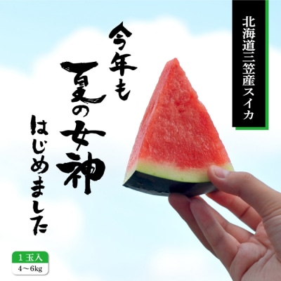 《2026年分受付中》『夏の女神』種が少なくて甘い黒皮スイカ1玉入(中玉4～6kg)【01005】