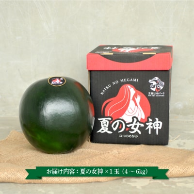 《2026年分受付中》『夏の女神』種が少なくて甘い黒皮スイカ1玉入(中玉4～6kg)【01005】