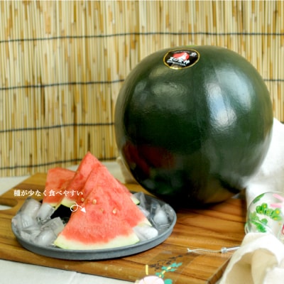 《2026年分受付中》『夏の女神』種が少なくて甘い黒皮スイカ1玉入(中玉4～6kg)【01005】