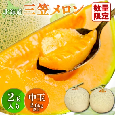 《数量・期間限定!!》とろける食感!北海道三笠メロン2玉(2.6kg以上)【0100103】 | ふるさと納税のお礼品