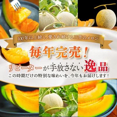 《2026年分受付中》とろける食感!北海道三笠メロン2玉(2.6kg以上)【0100104】